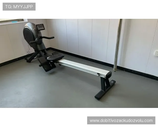 探索浩瀚体育官方旗舰店丰富的运动装备类别满足家庭健身和专业训练的多样需求