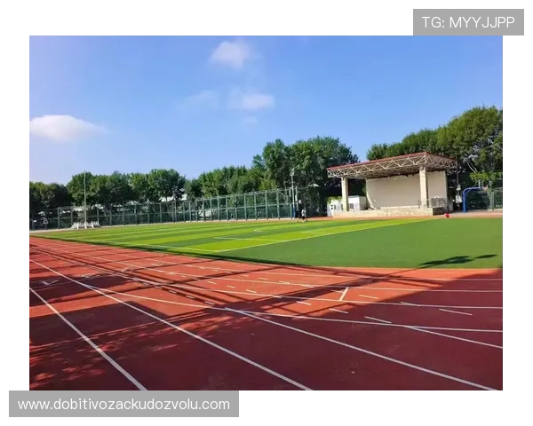 AI体育操场助力青少年健康成长打造智慧运动新空间